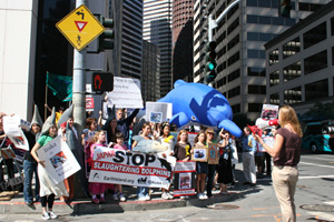SF dolphin day protest